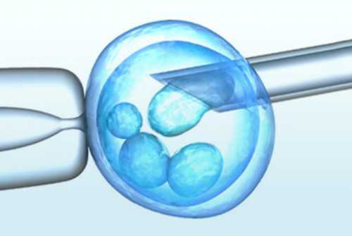 供卵代生男孩费用解析-第三代试管成本与准备金额指南
