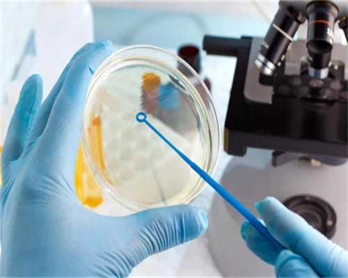 多囊试管费用报销比例解析与助孕经济规划