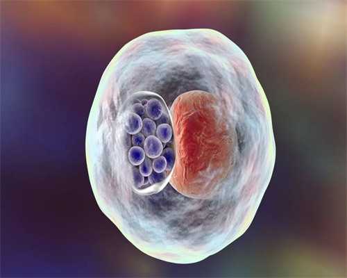 株洲高成功率试管婴儿医院推荐与费用解析